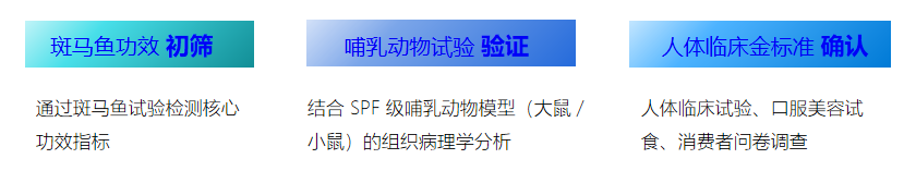 1769591631168144.png 2.png